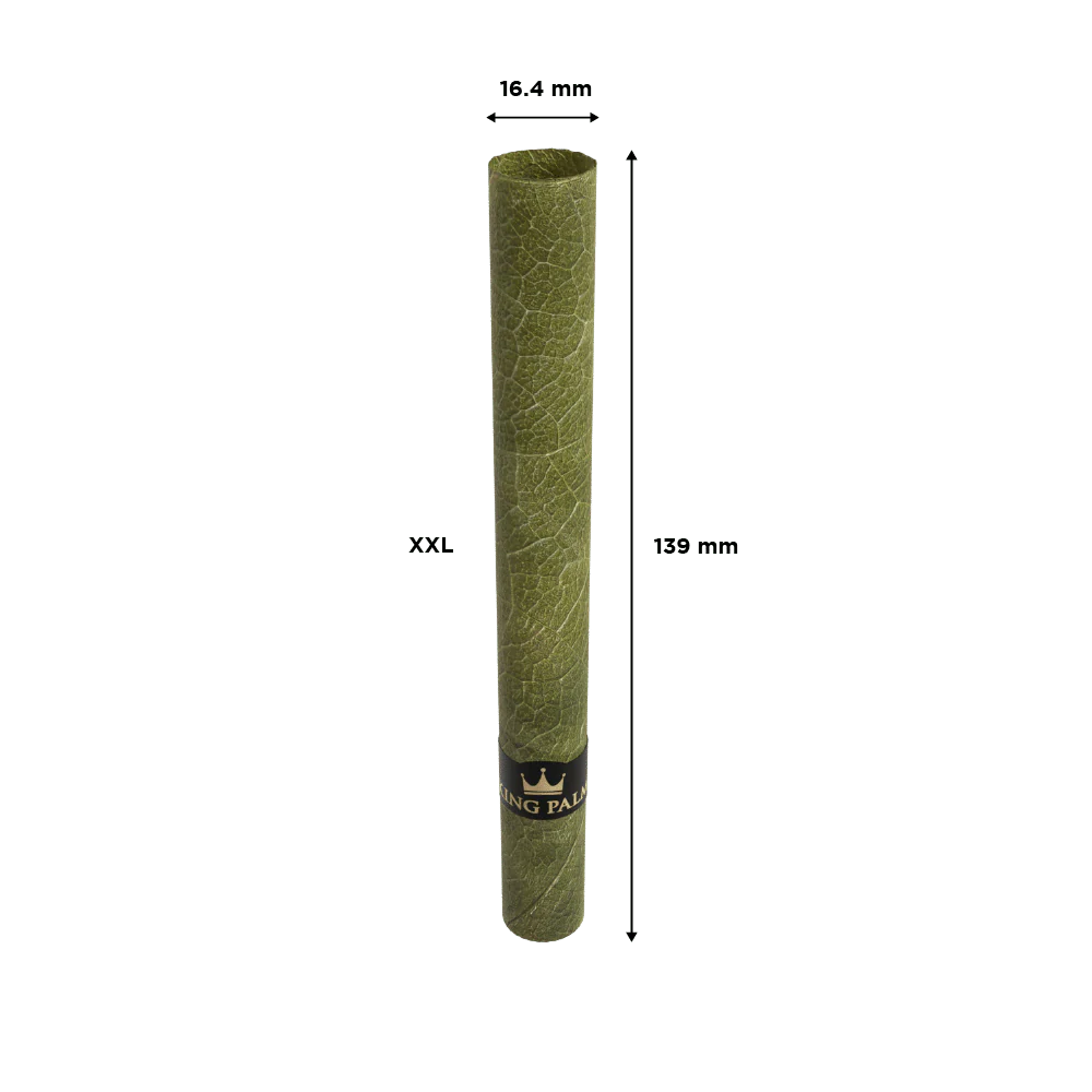 5 XXL Rolls - Image 4